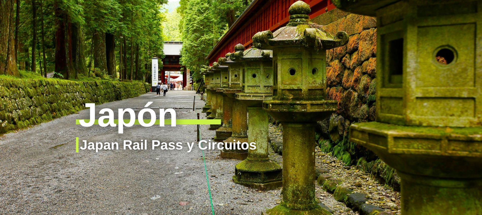 Paquetes y Circuitos en Japón