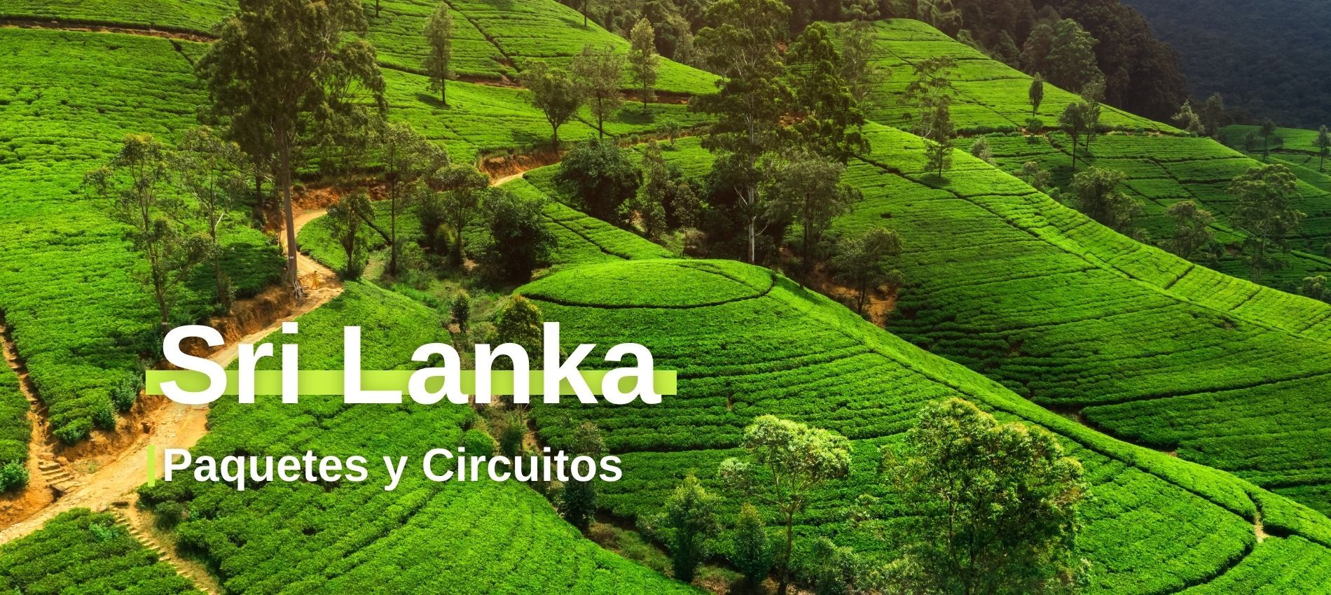 Sri Lanka | Paquetes y Circuitos